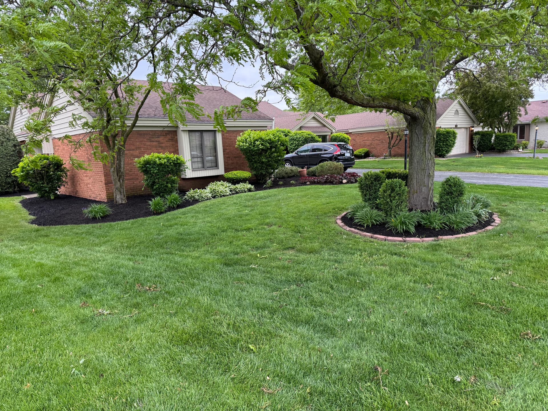 Lush Mulch Makeover in Briar Ridge