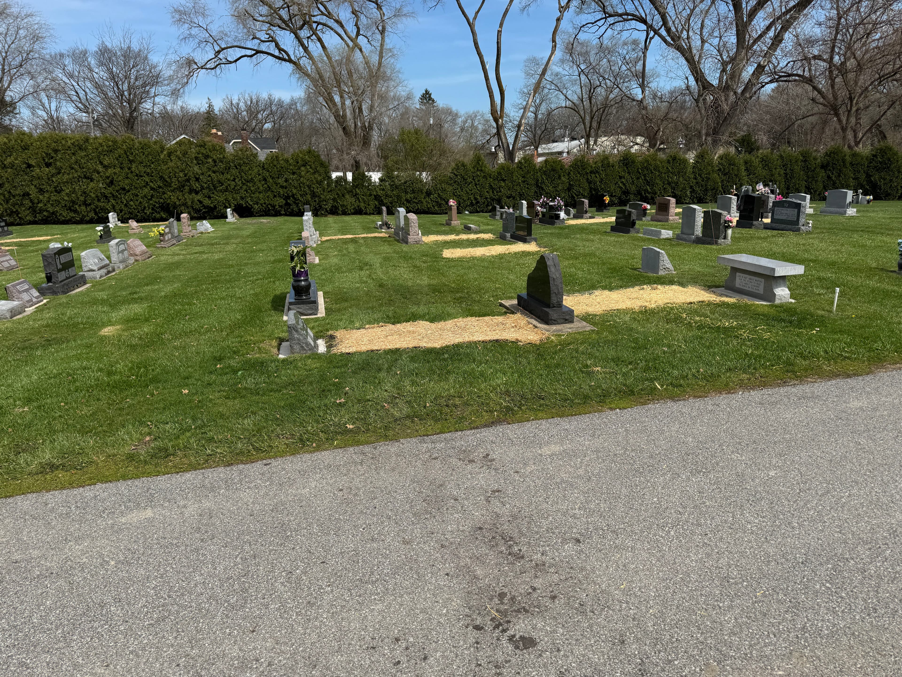 Project Top Dressing and Seeding at Holy Name Church Cemetery in Cedar Lake image