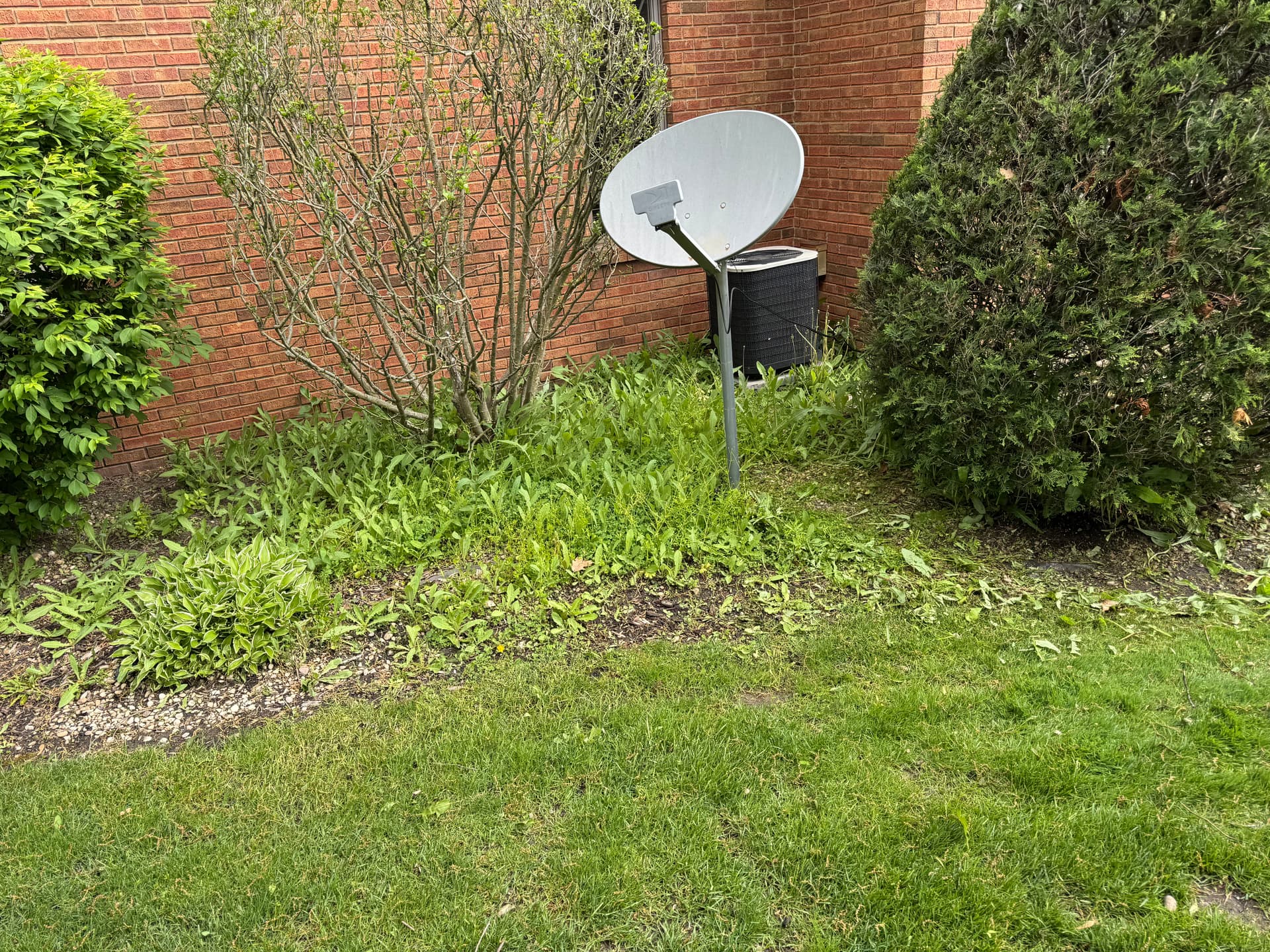 Gallery photos for Lush Mulch Makeover in Briar Ridge: Image #7