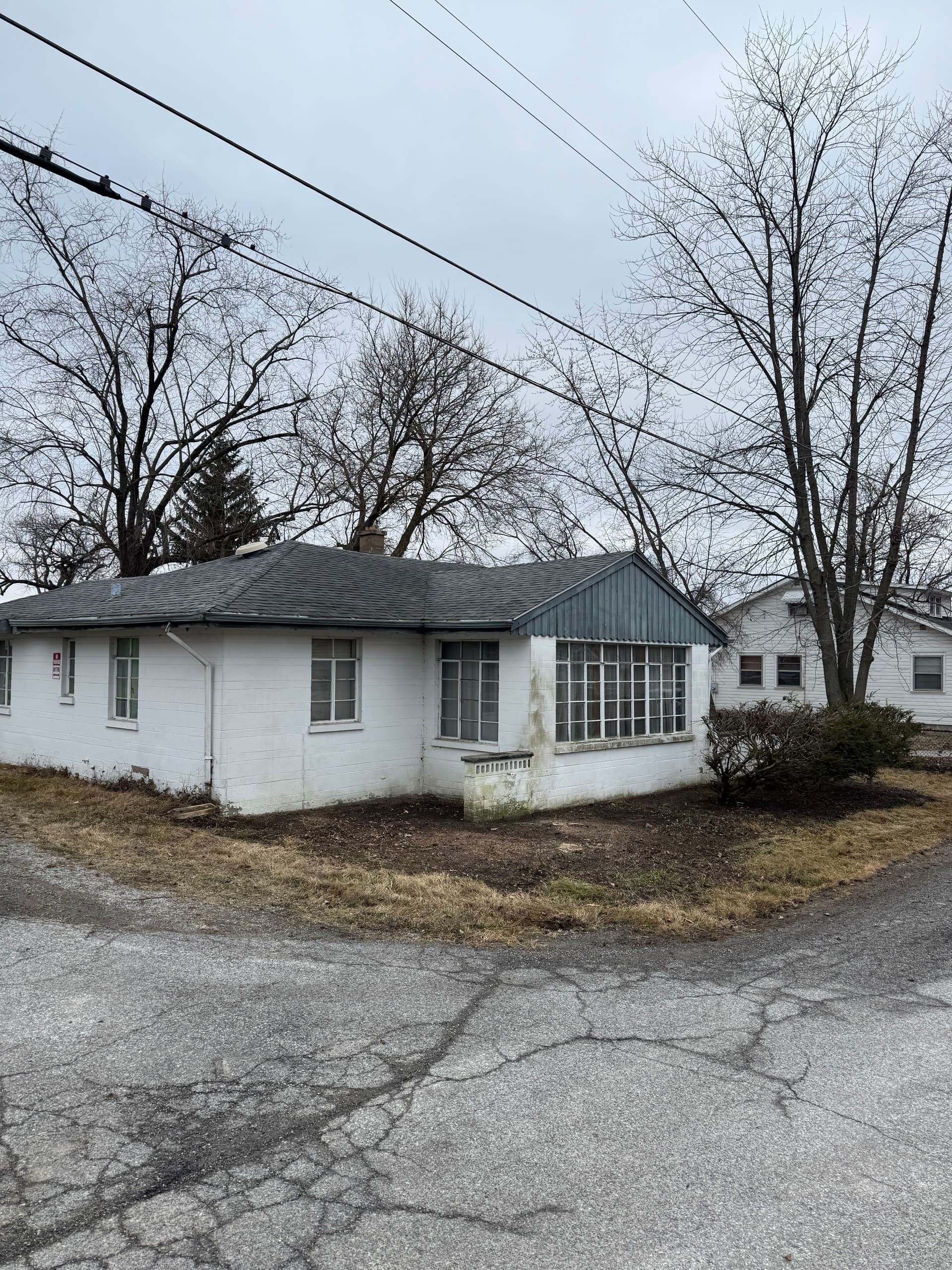 Yard Cleanup at Cedar Lake