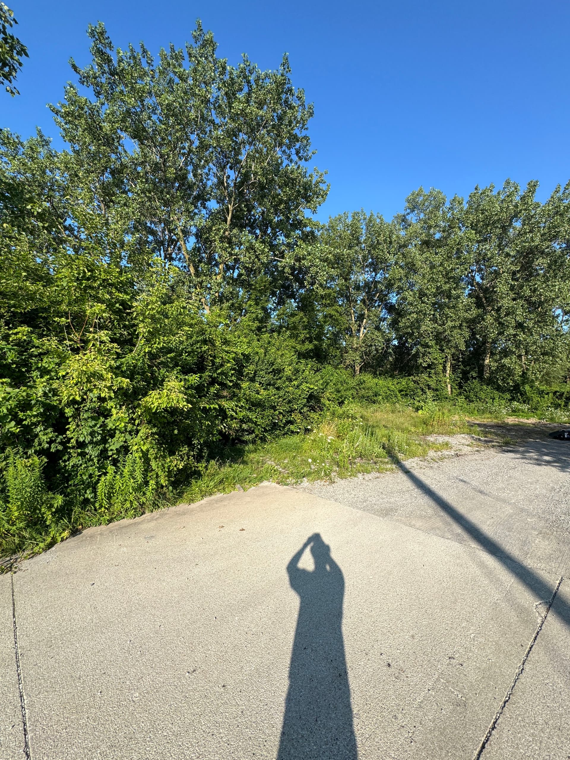 Heavy Brush Clearing and Gravel Parking Space Build