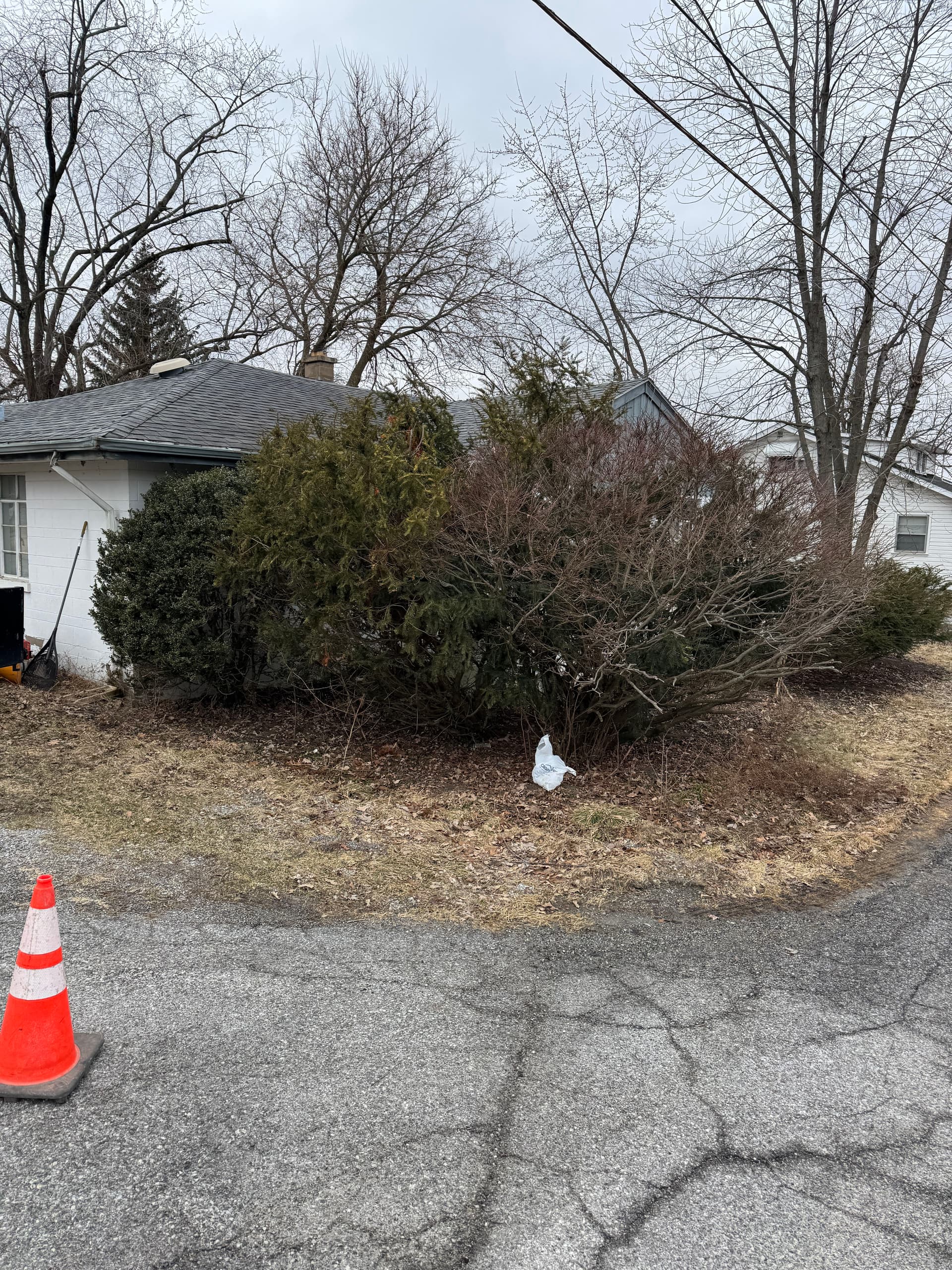 Yard Cleanup at Cedar Lake