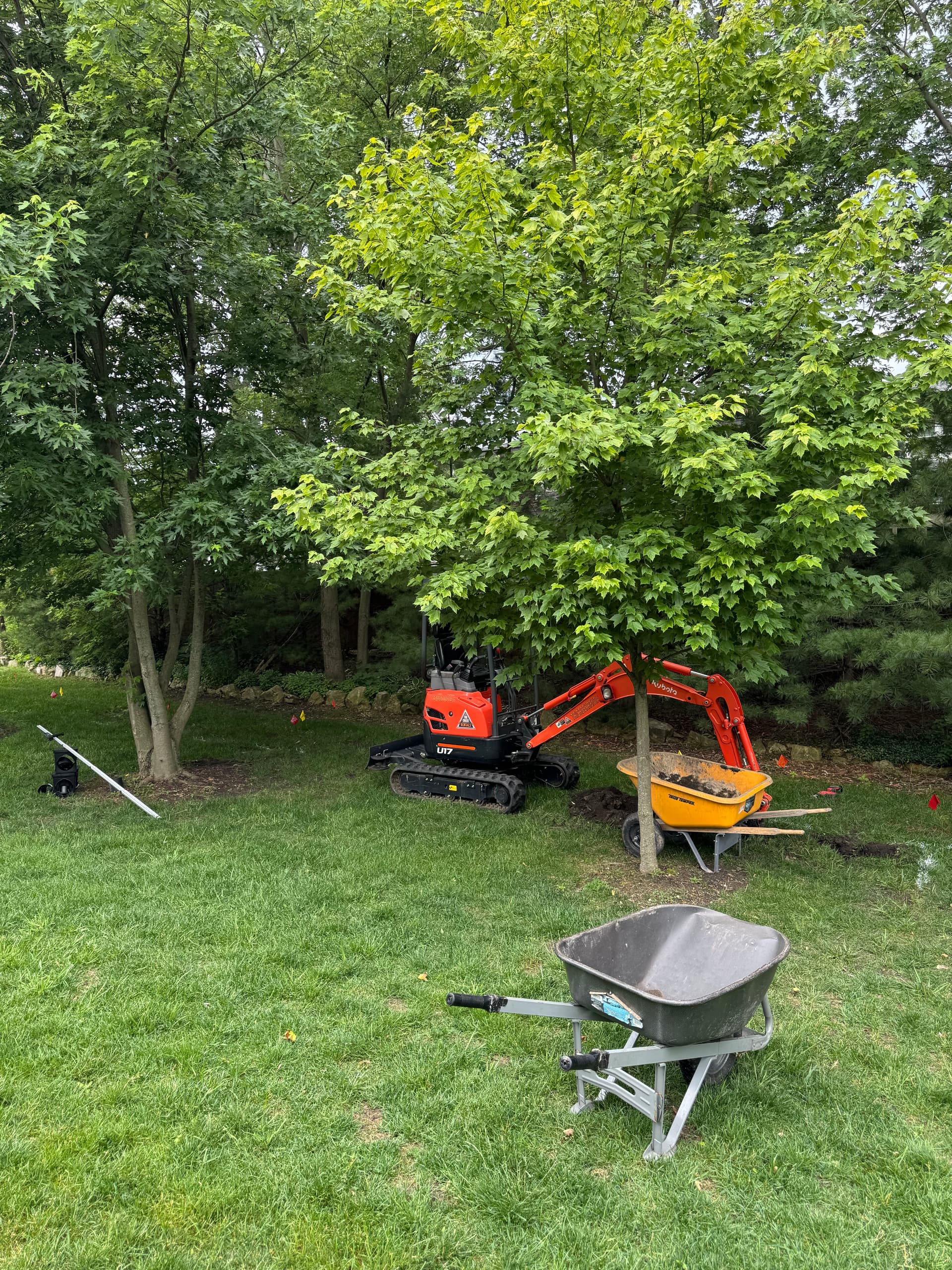 Transforming Dyer Yard with Reliable French Drain Installation