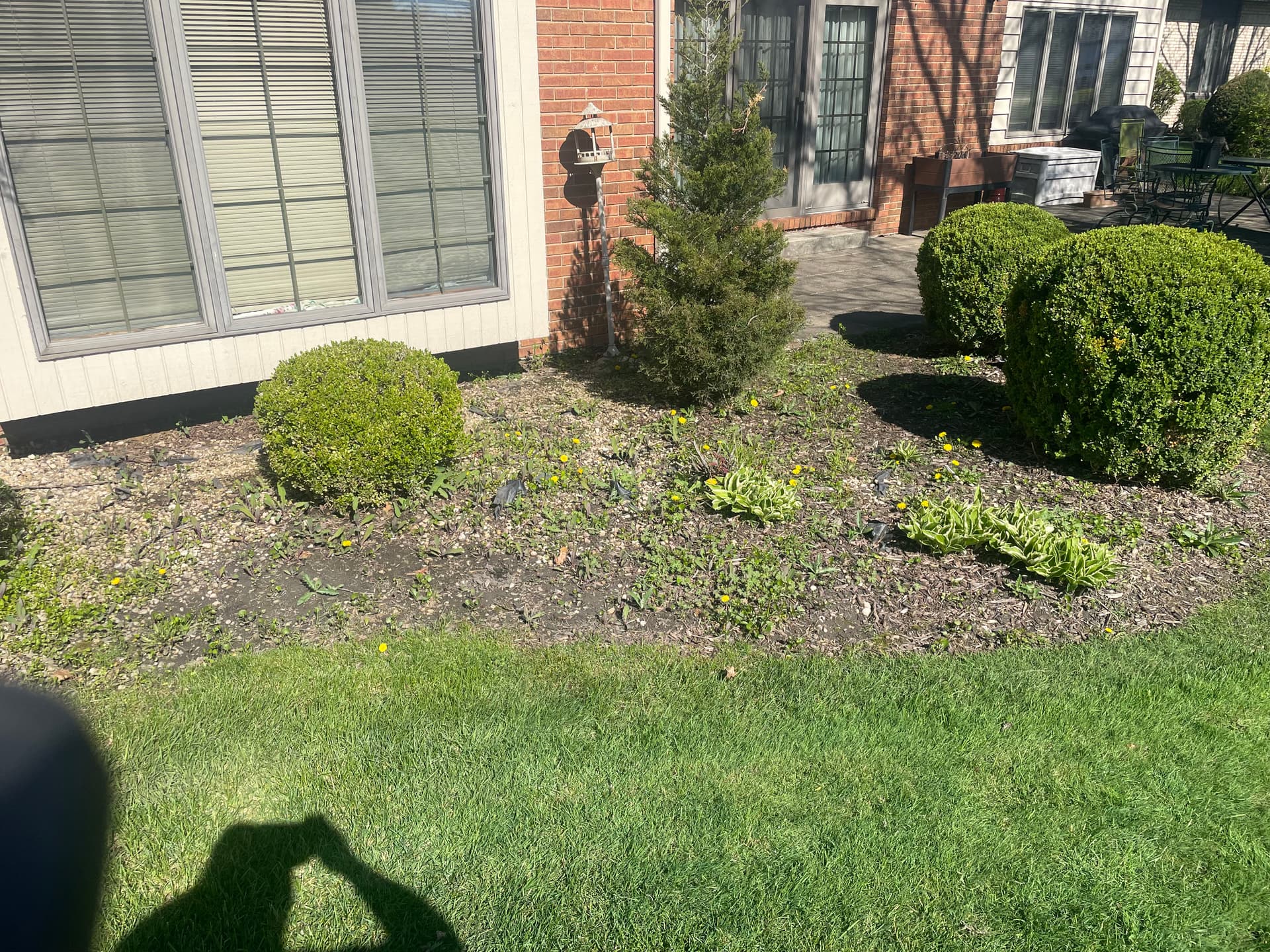 Gallery photos for Lush Mulch Makeover in Briar Ridge: Image #8