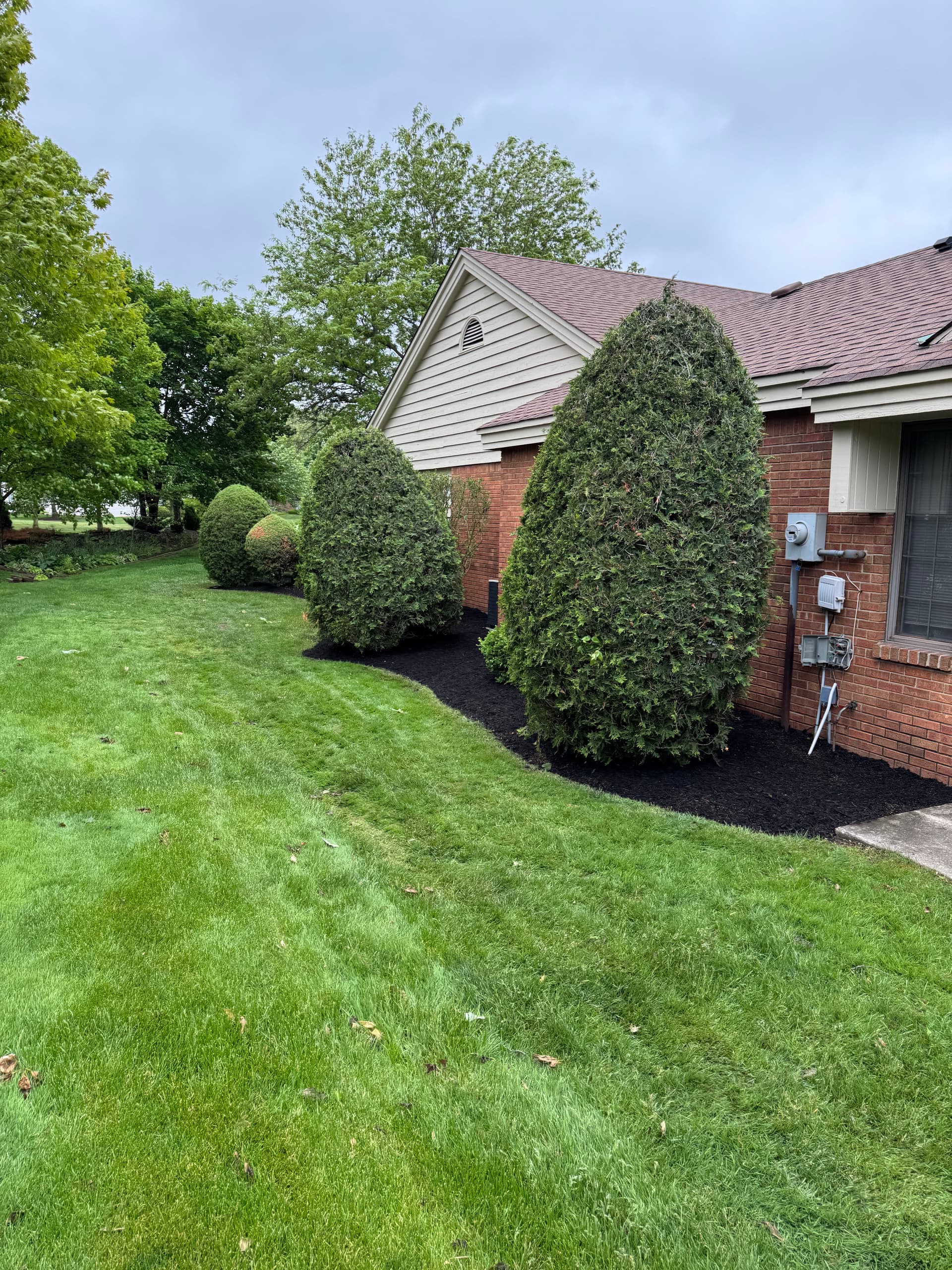 Gallery photos for Lush Mulch Makeover in Briar Ridge: Image #2