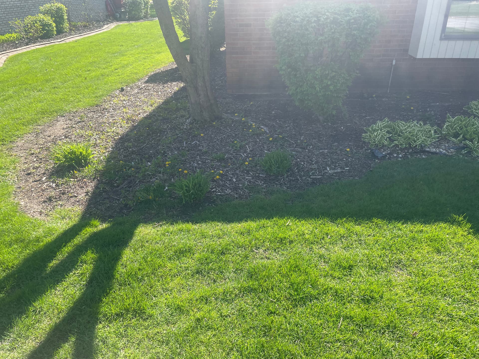 Gallery photos for Lush Mulch Makeover in Briar Ridge: Image #9