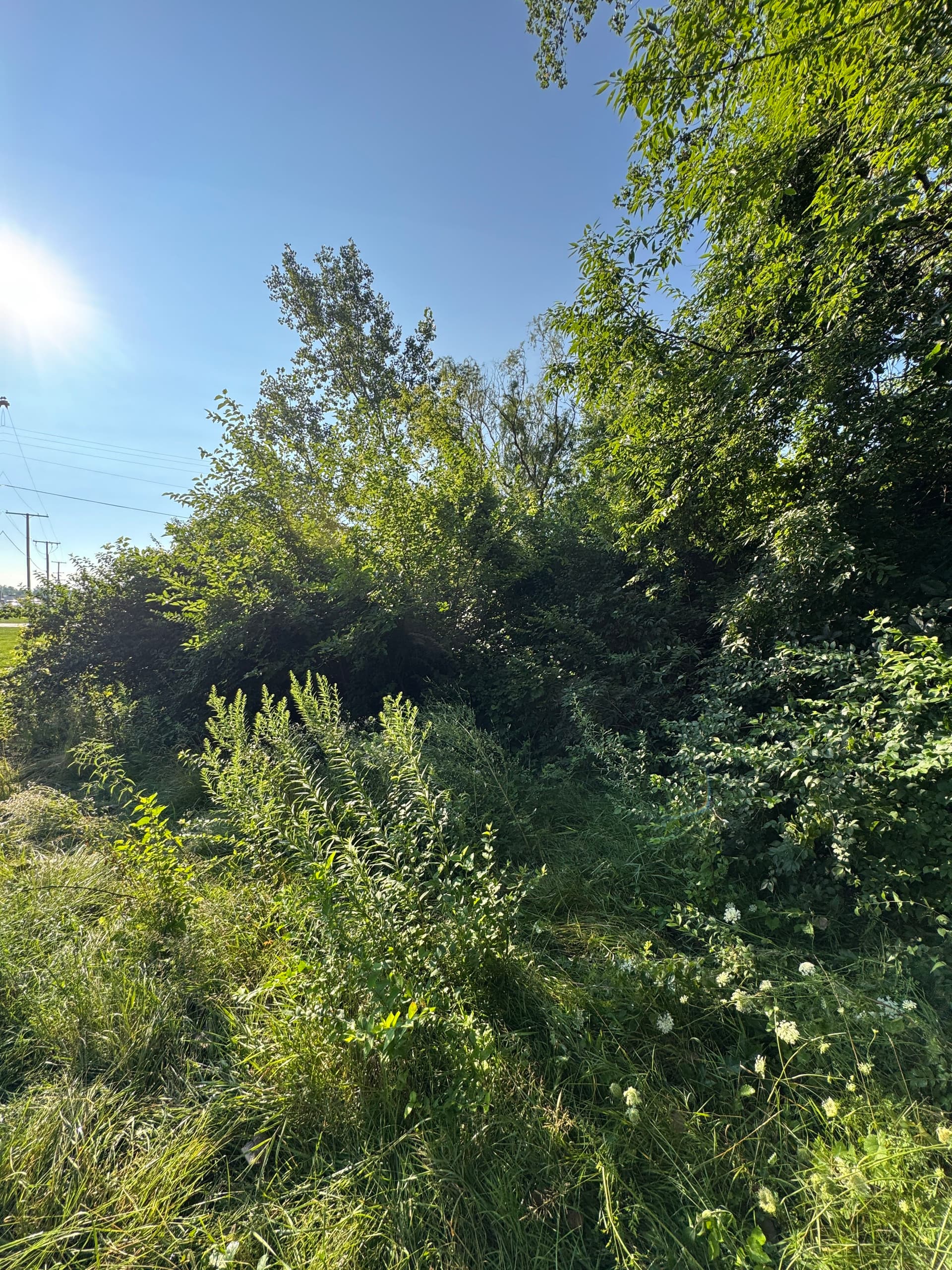 Heavy Brush Clearing and Gravel Parking Space Build