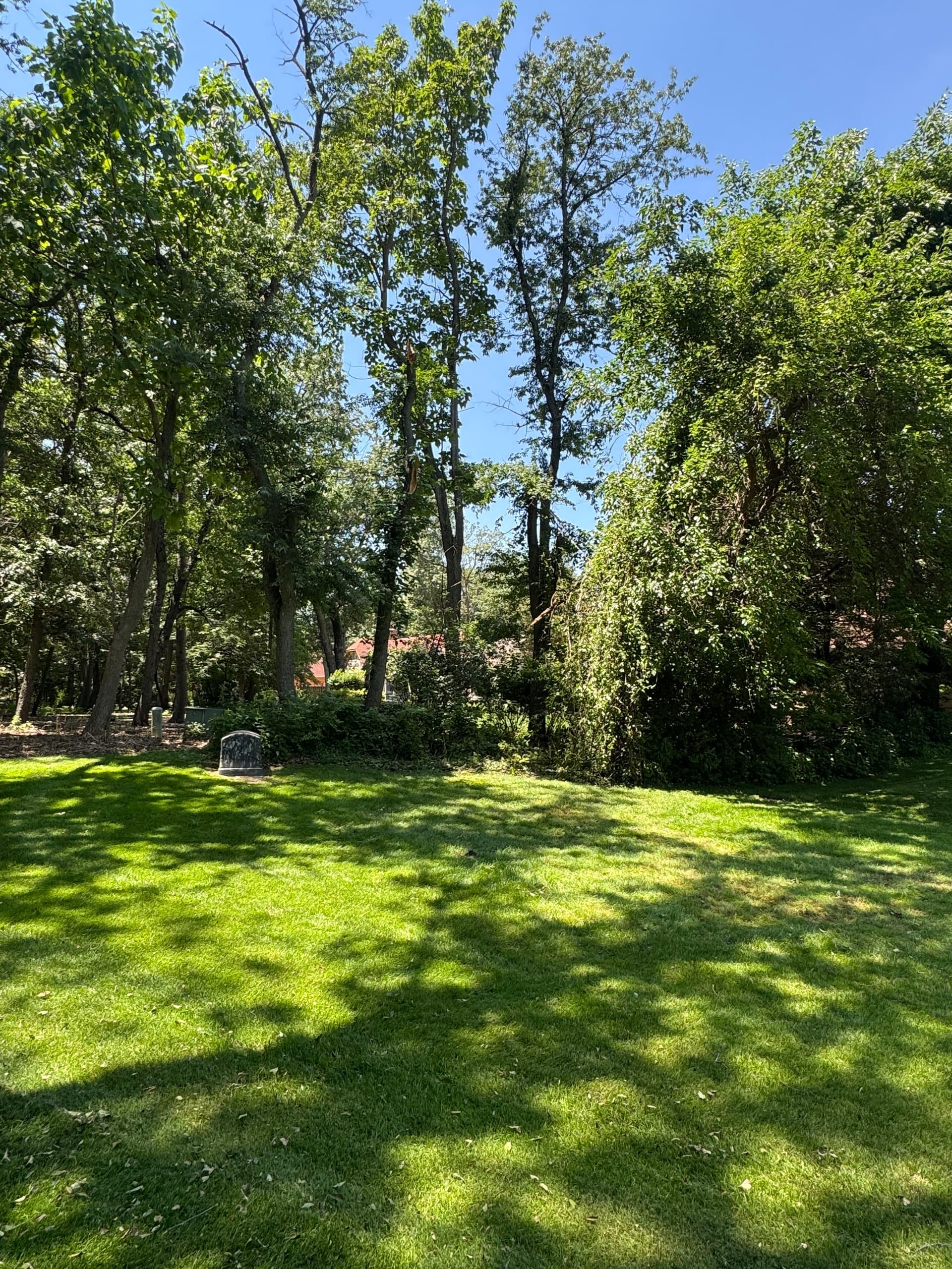 Storm Damage Tree Cleanup in Briar Ridge Done Right image
