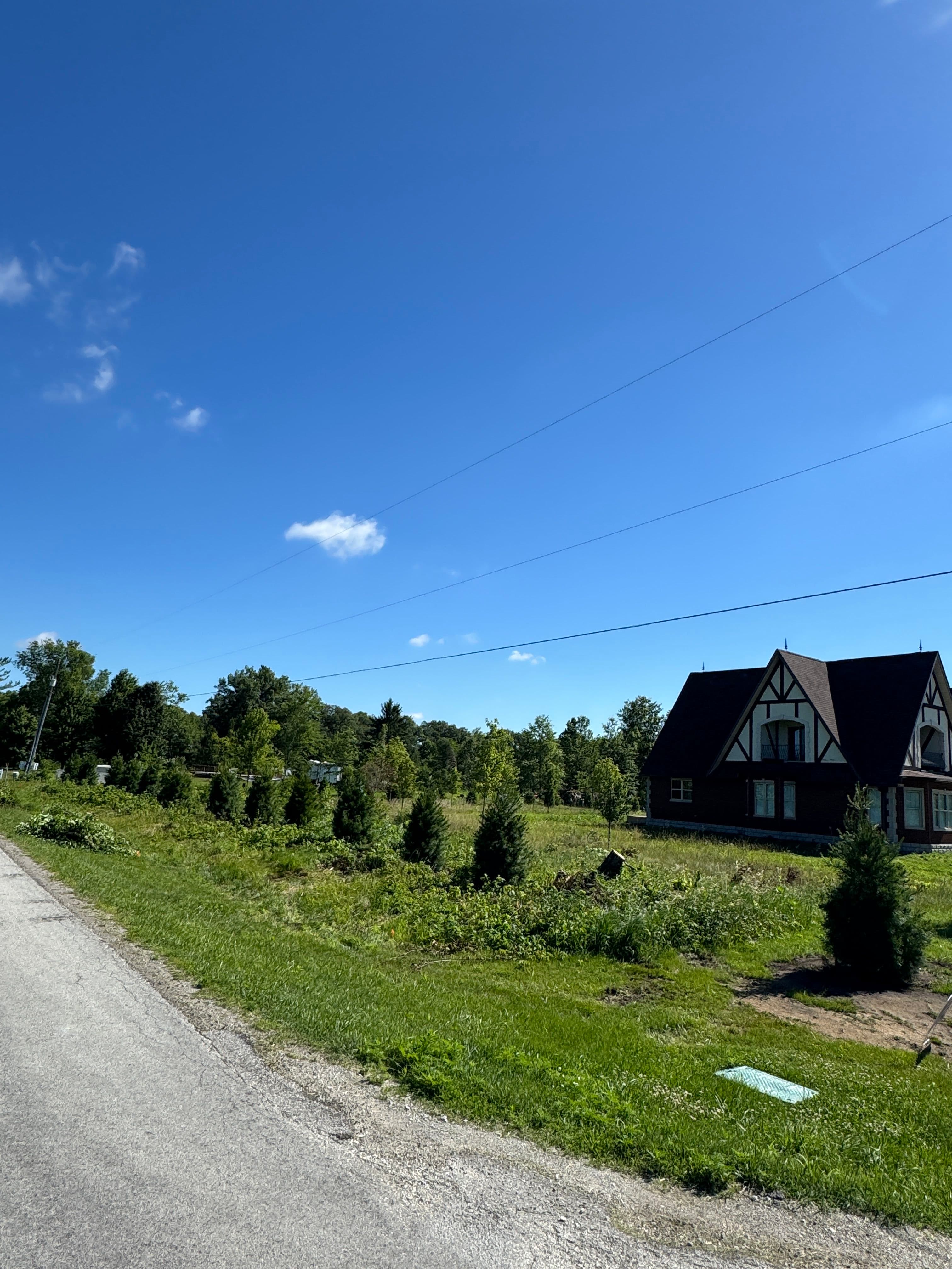 Project 20 White Pines Planted to Restore Privacy in Lake Village image