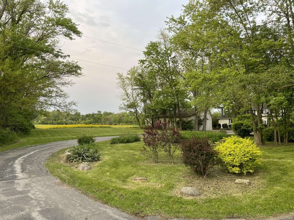 Curved driveway leading to a house surrounded by lush greenery and fields in the background.