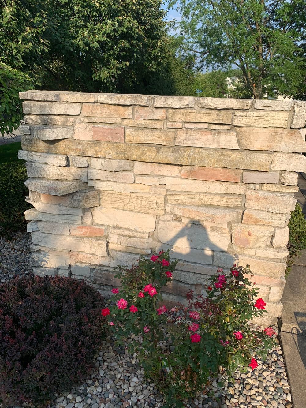 Stone wall with textured layers and vibrant pink roses in foreground under clear blue sky.