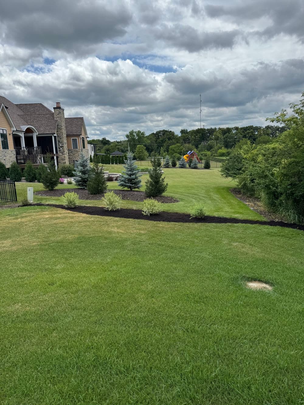 Lush green backyard with trees, play area, and cloudy sky behind a beautiful house.