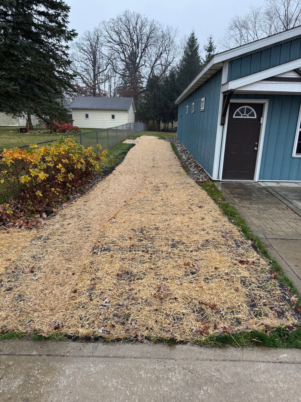 Gravel pathway lined with straw leading to a blue house and autumn foliage in the background.
