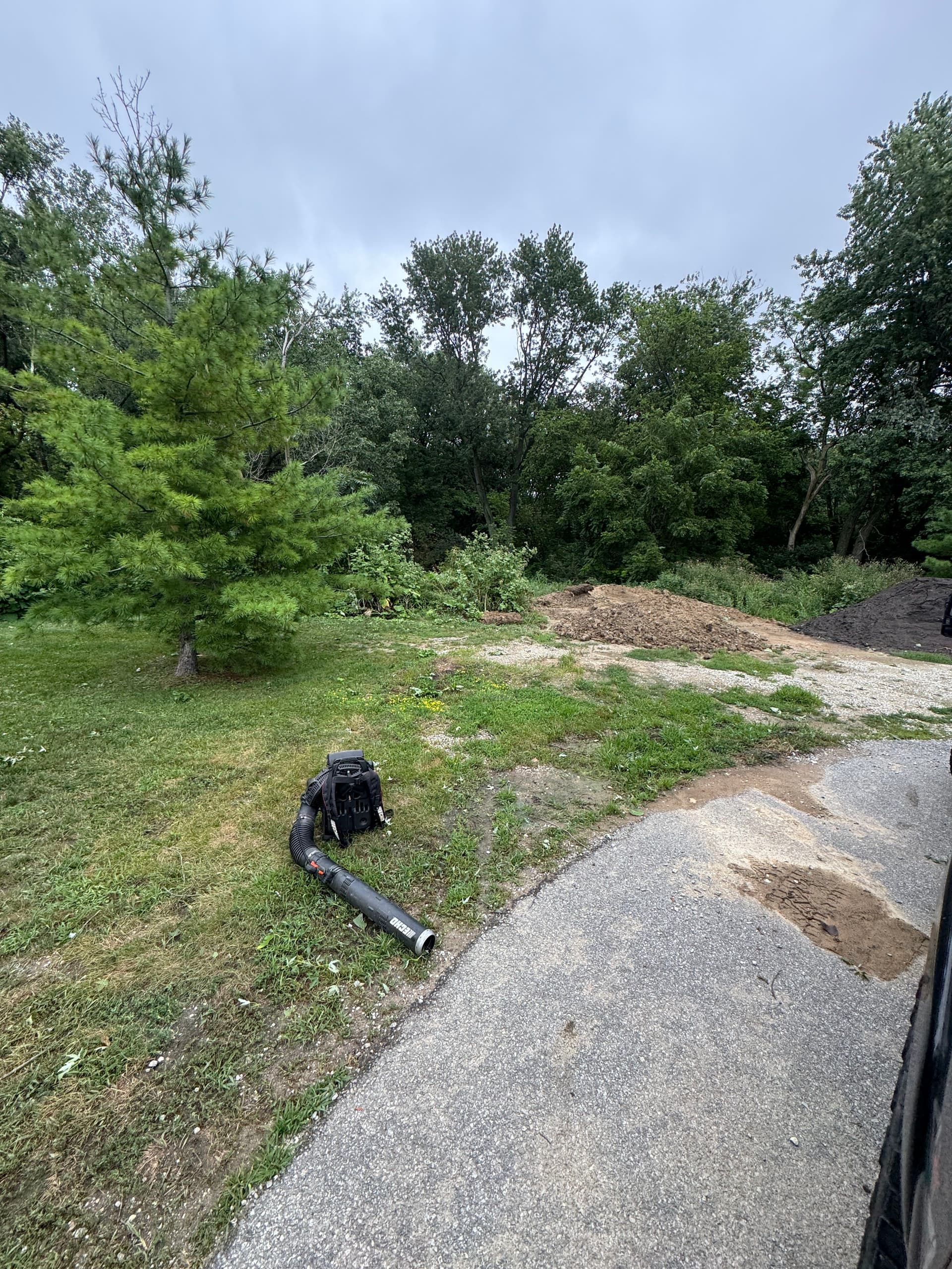 Gallery photos for Storm Damage Cleanup at Holy Name Church in Cedar Lake: Image #2
