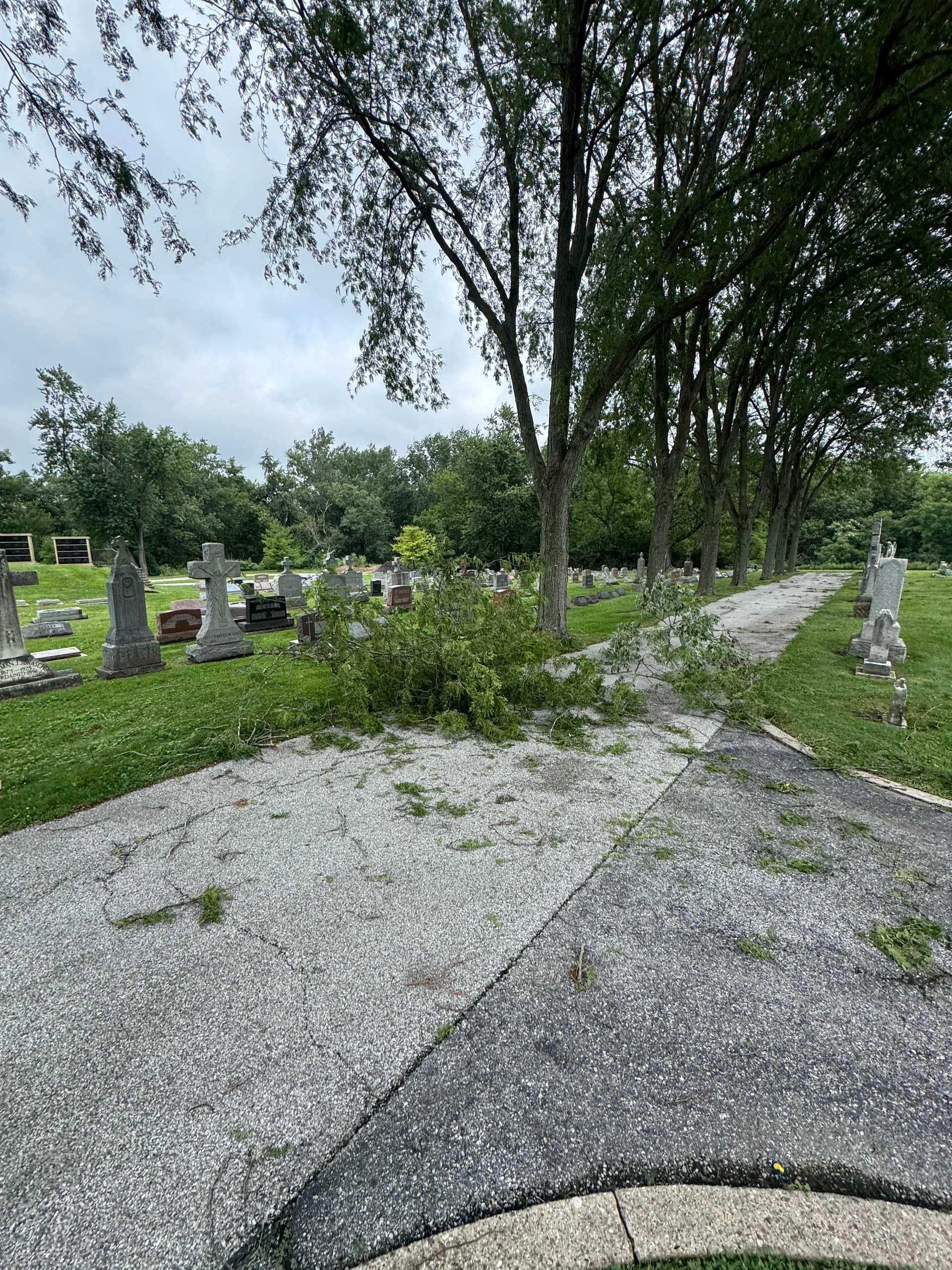 Gallery photos for Storm Damage Cleanup at Holy Name Church in Cedar Lake: Image #6