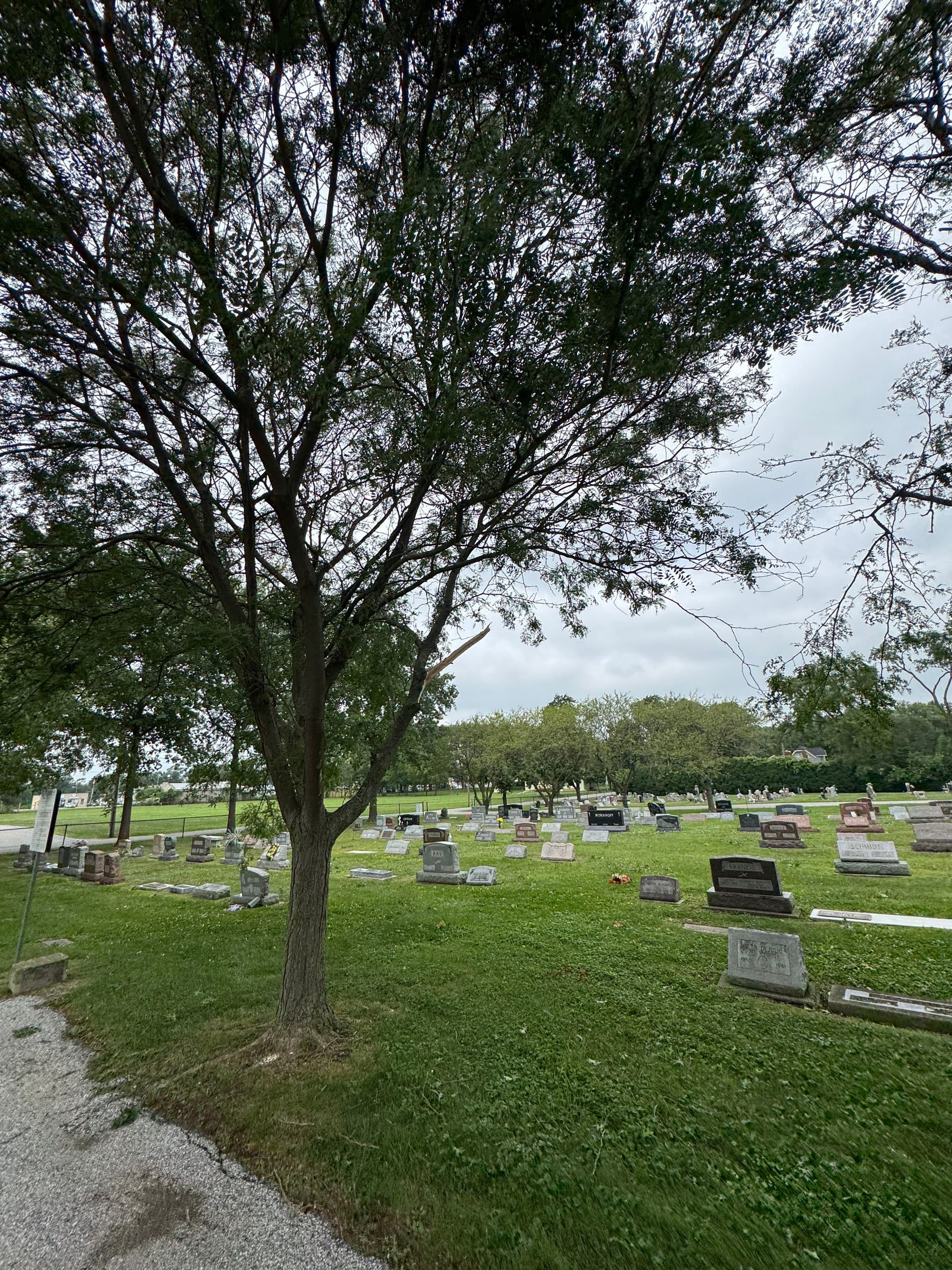 Gallery photos for Storm Damage Cleanup at Holy Name Church in Cedar Lake: Image #9