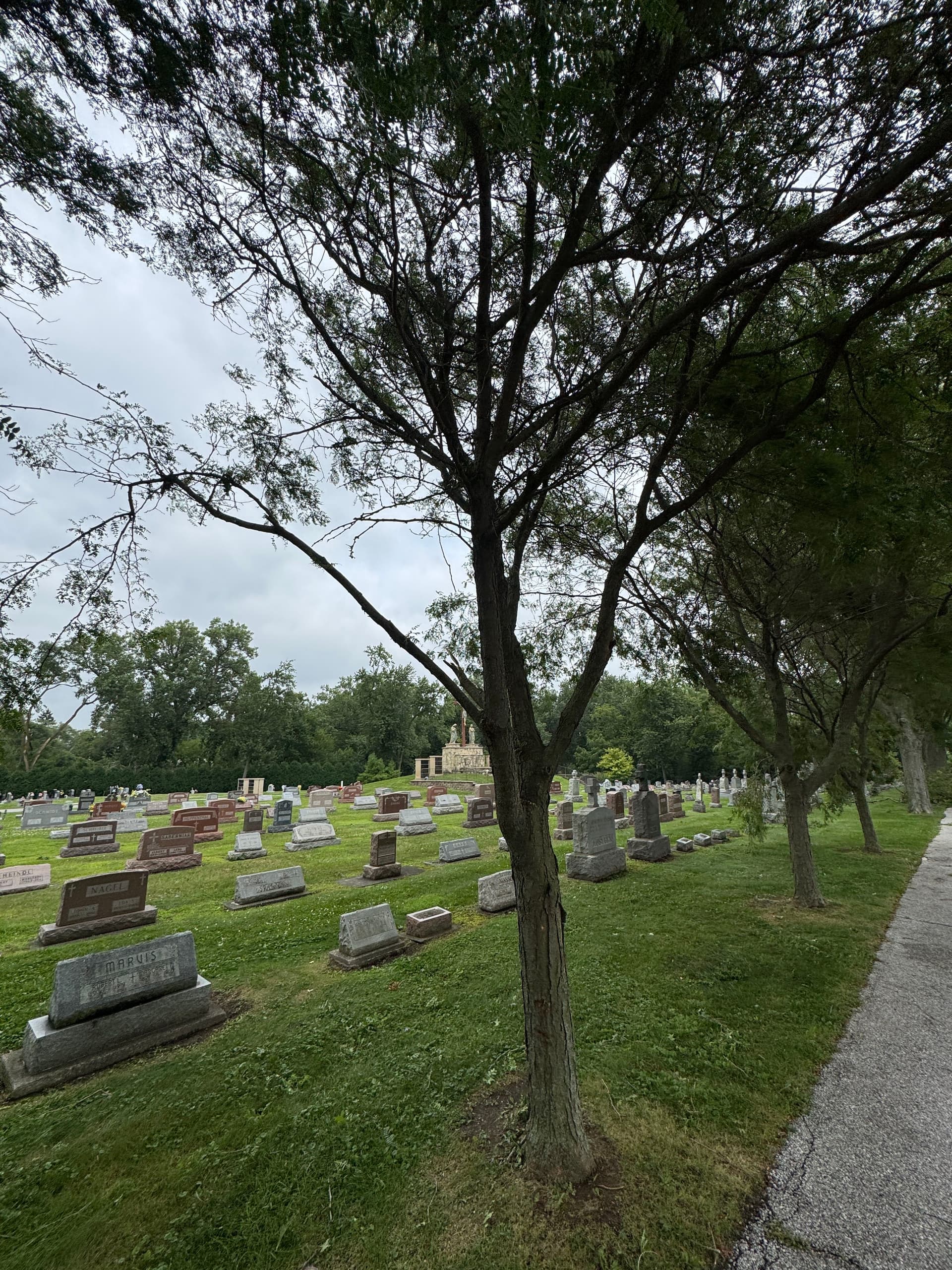 Gallery photos for Storm Damage Cleanup at Holy Name Church in Cedar Lake: Image #5