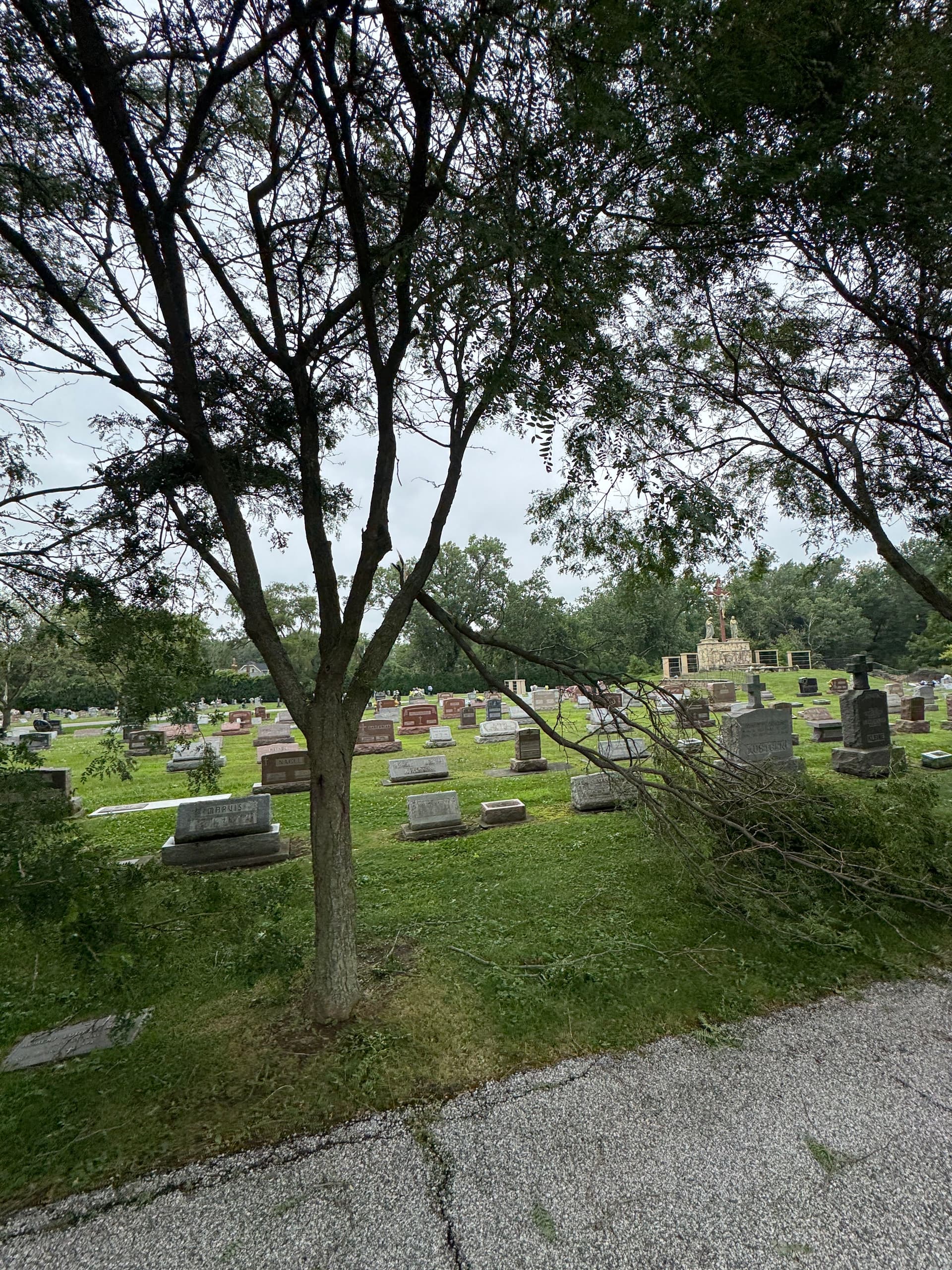 Gallery photos for Storm Damage Cleanup at Holy Name Church in Cedar Lake: Image #8