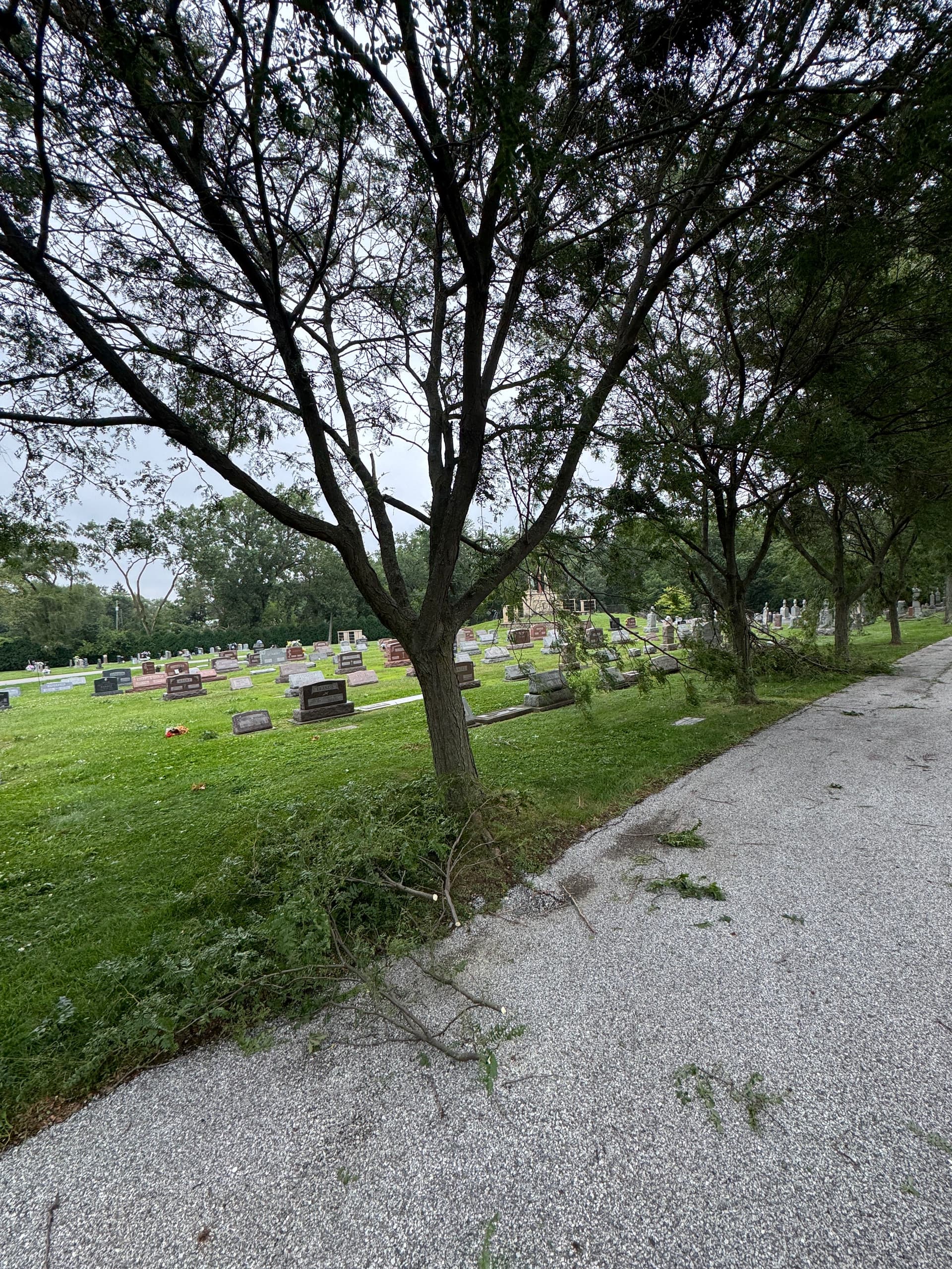 Gallery photos for Storm Damage Cleanup at Holy Name Church in Cedar Lake: Image #4