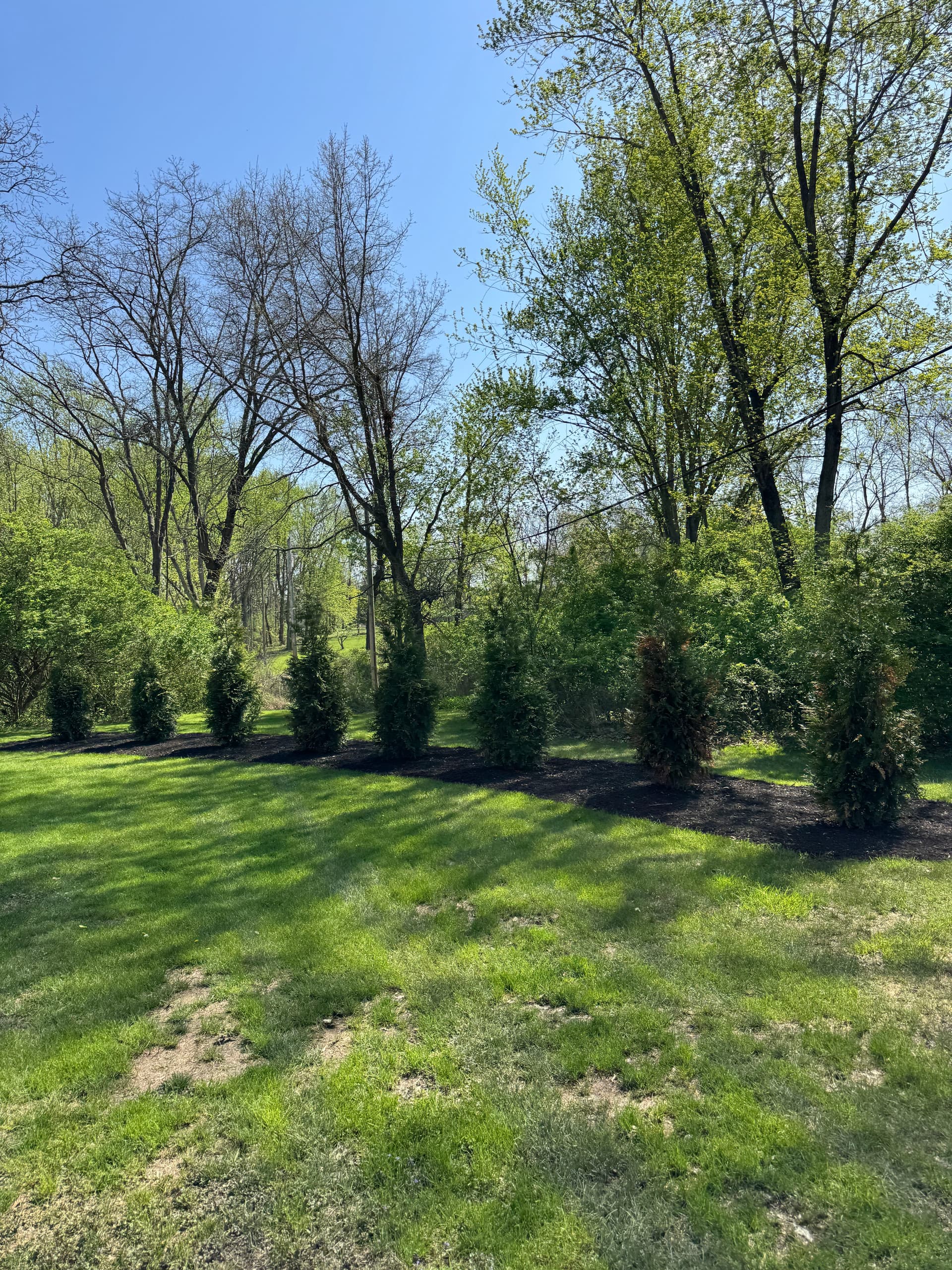Gallery photos for Fresh Mulch and Sharp Beds at This Cedar Lake Property: Image #8