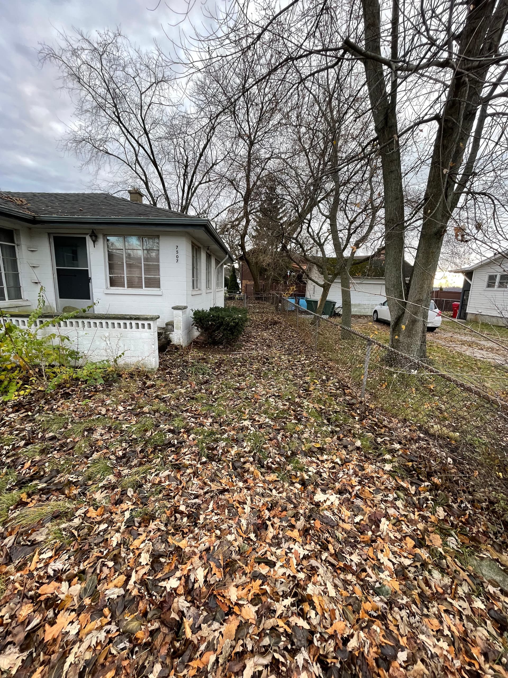 Gallery photos for Yard Cleanup at Cedar Lake: Image #6