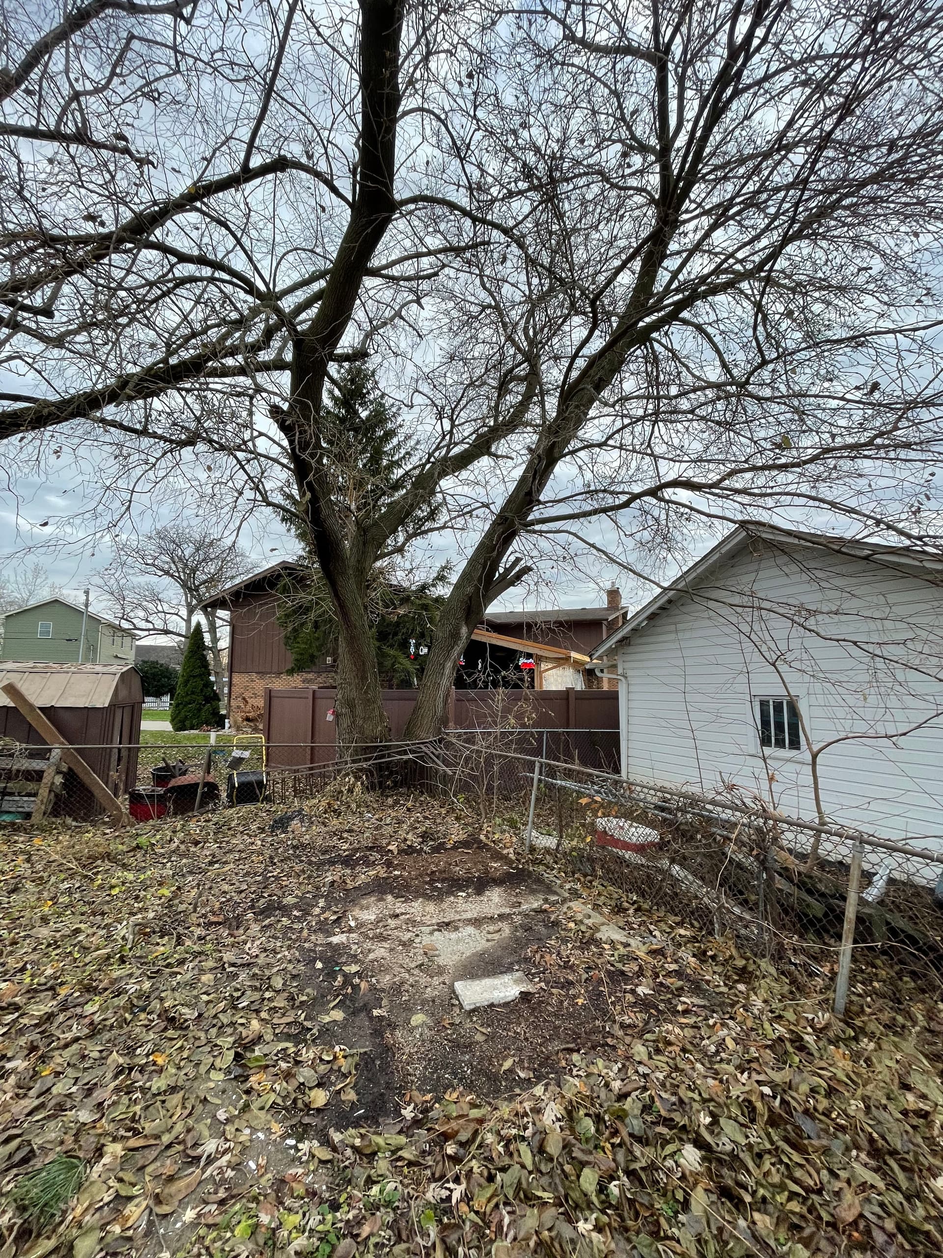 Gallery photos for Yard Cleanup at Cedar Lake: Image #7