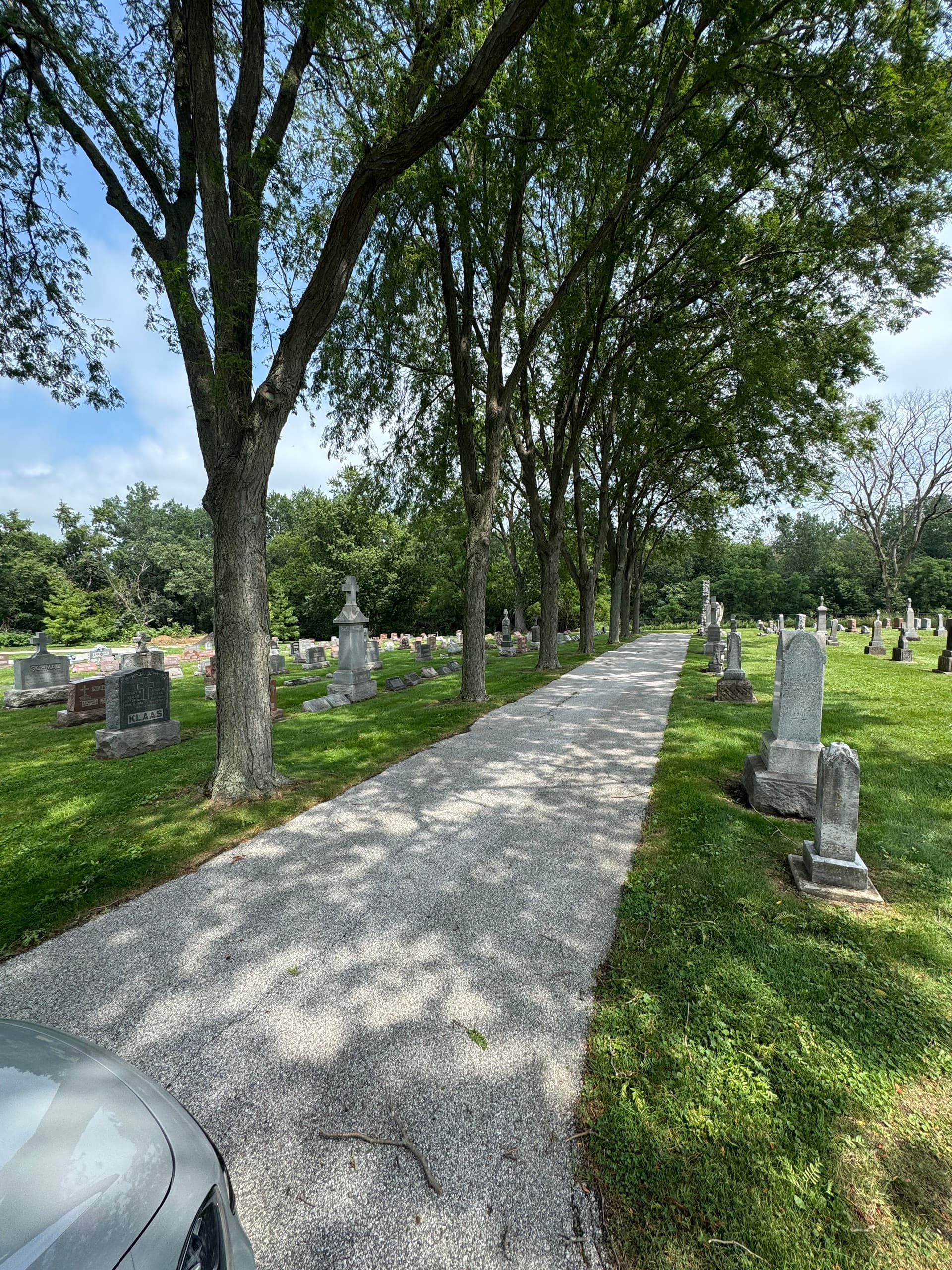 Gallery photos for Storm Damage Cleanup at Holy Name Church in Cedar Lake: Image #7
