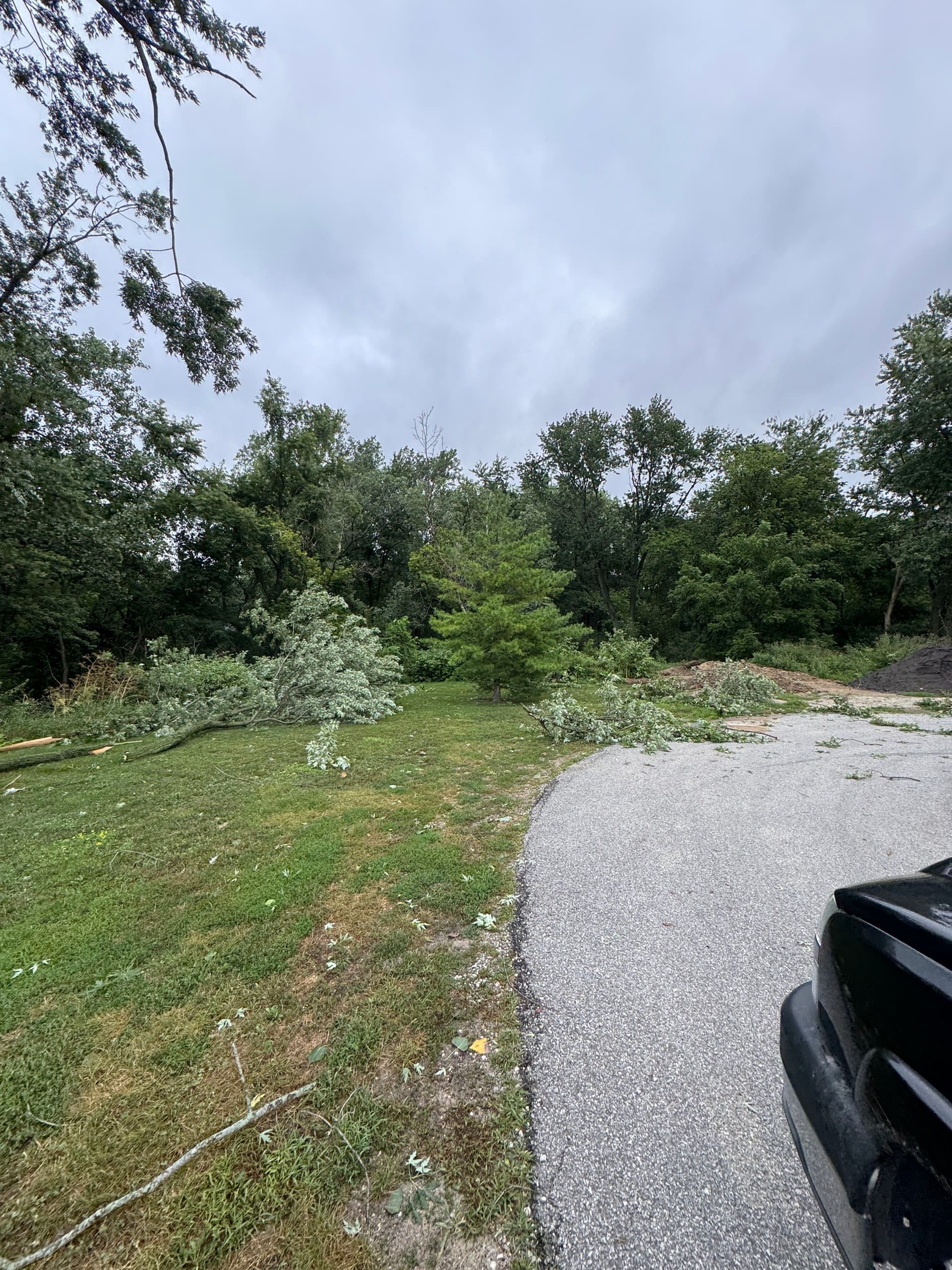 Gallery photos for Storm Damage Cleanup at Holy Name Church in Cedar Lake: Image #3