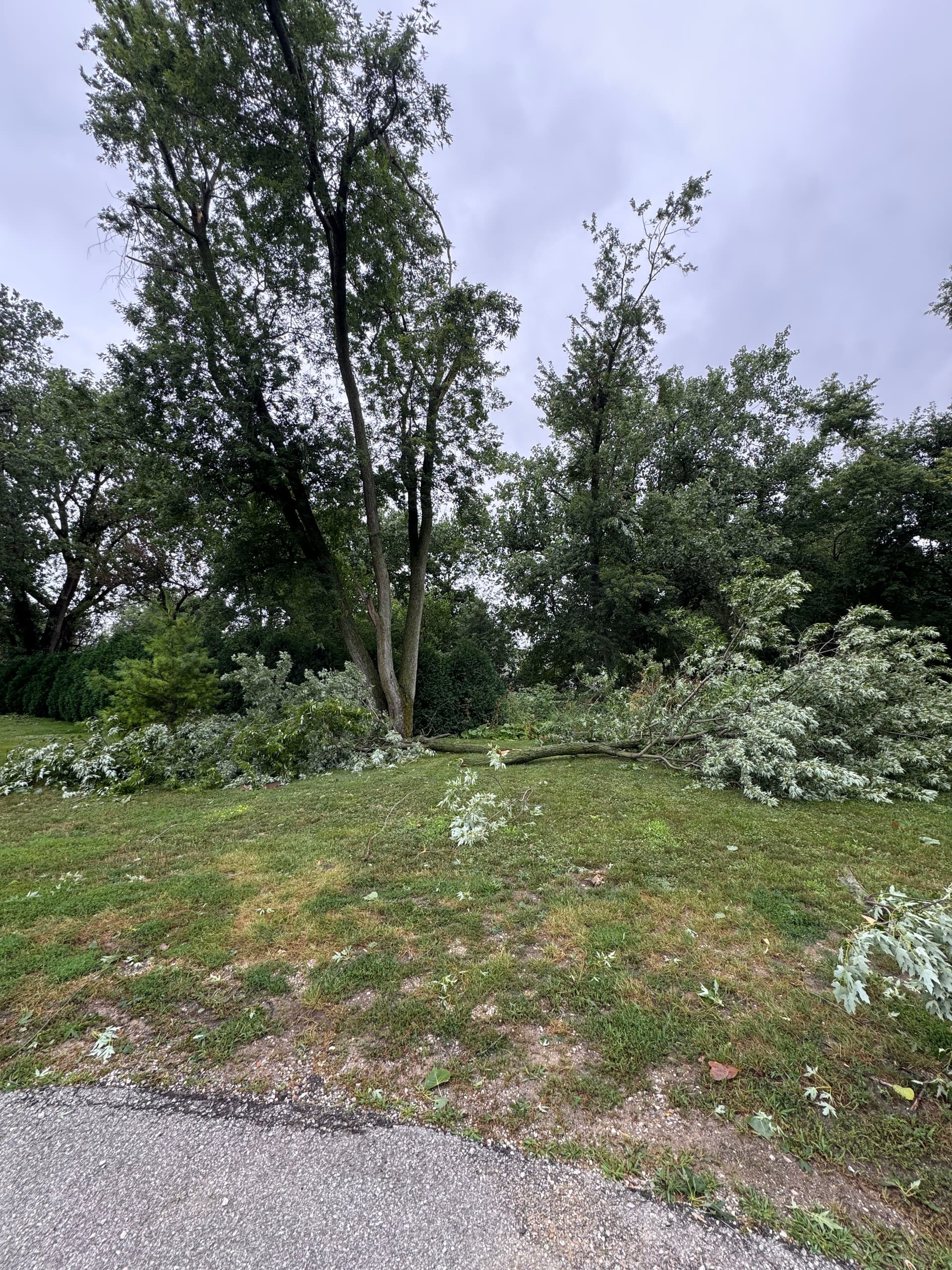 Gallery photos for Storm Damage Cleanup at Holy Name Church in Cedar Lake: Image #1